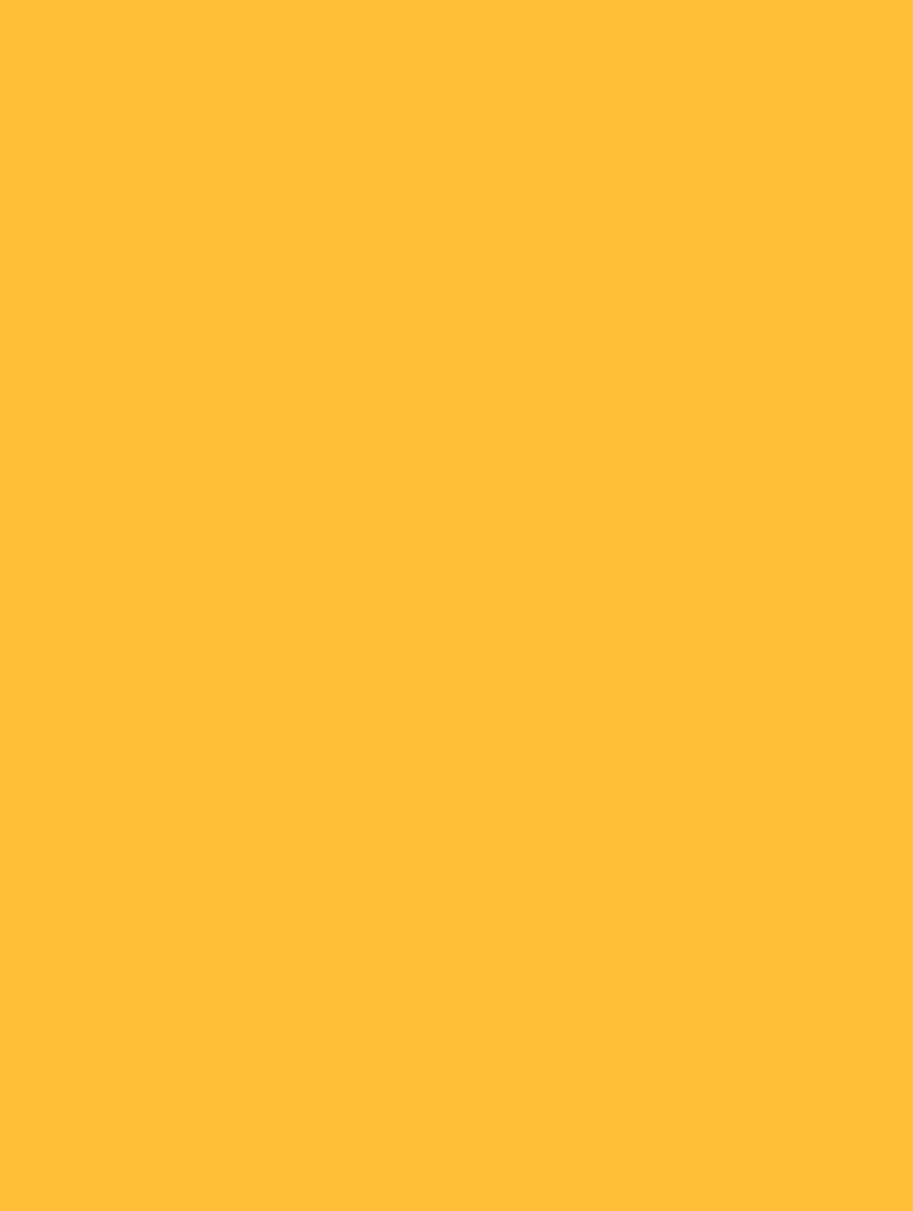 Sun Flower Yellow