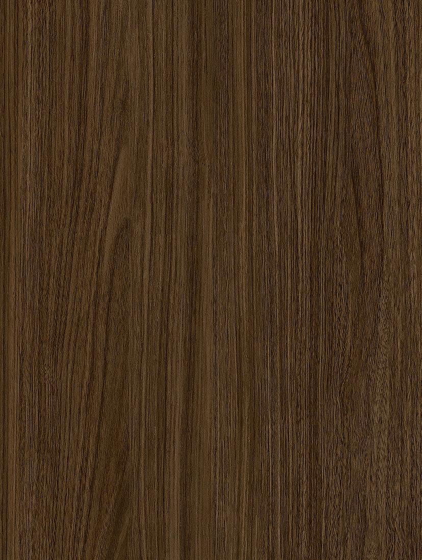 Chocolate Walnut