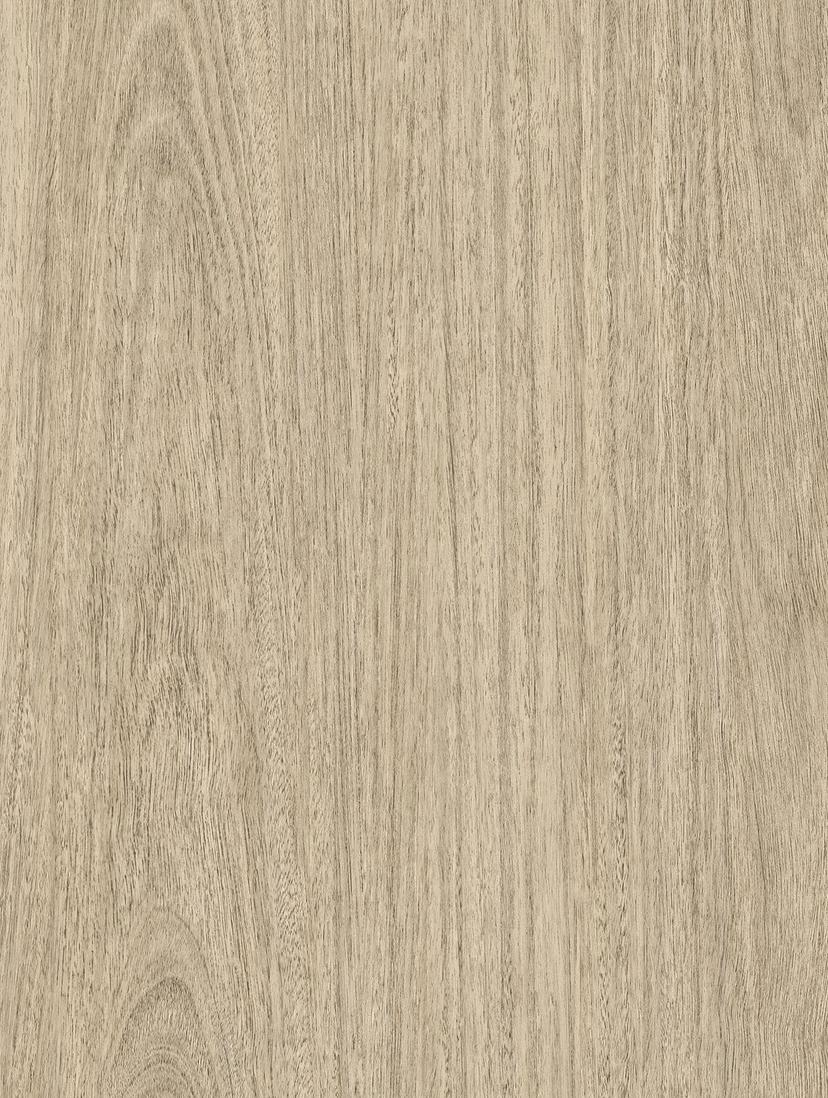 Eucalyptus