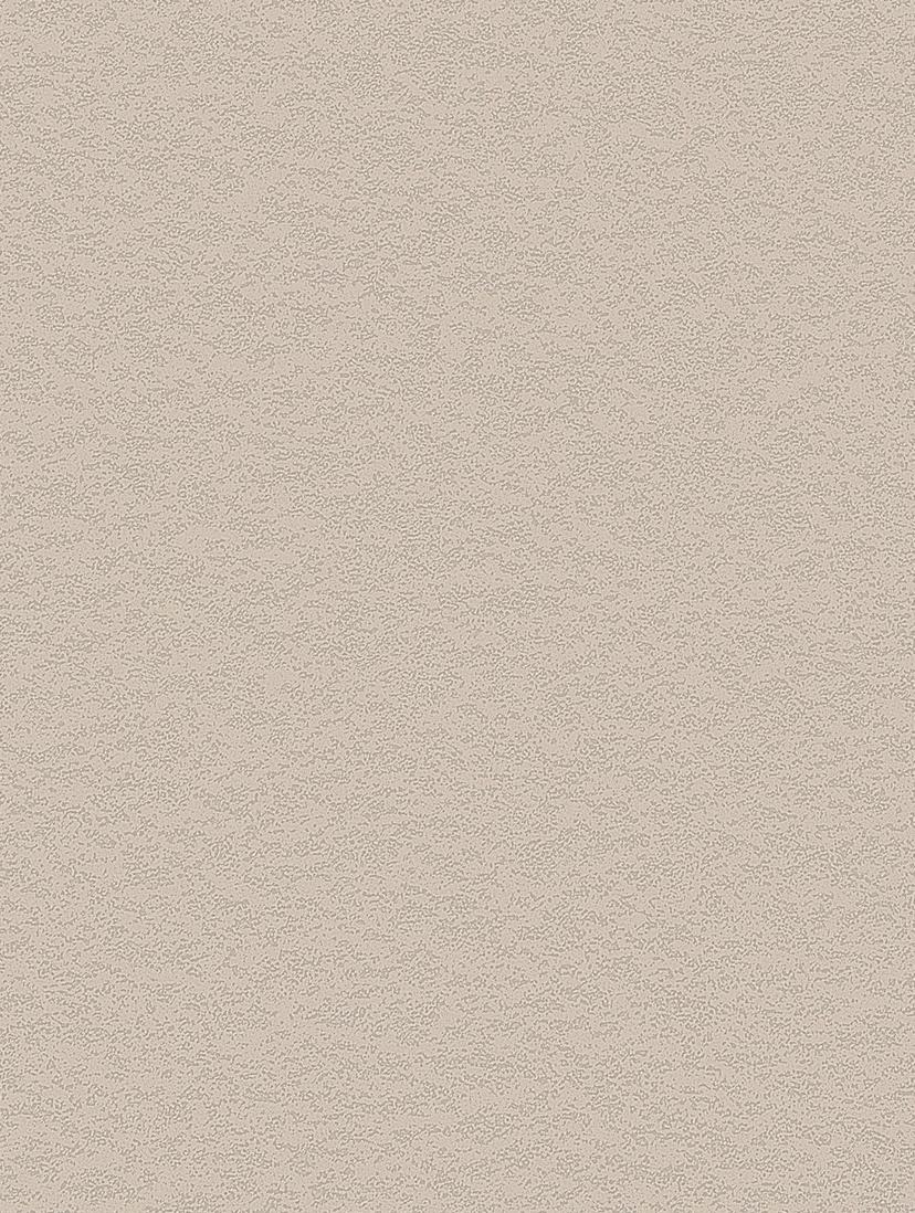 Cashmere Stucco