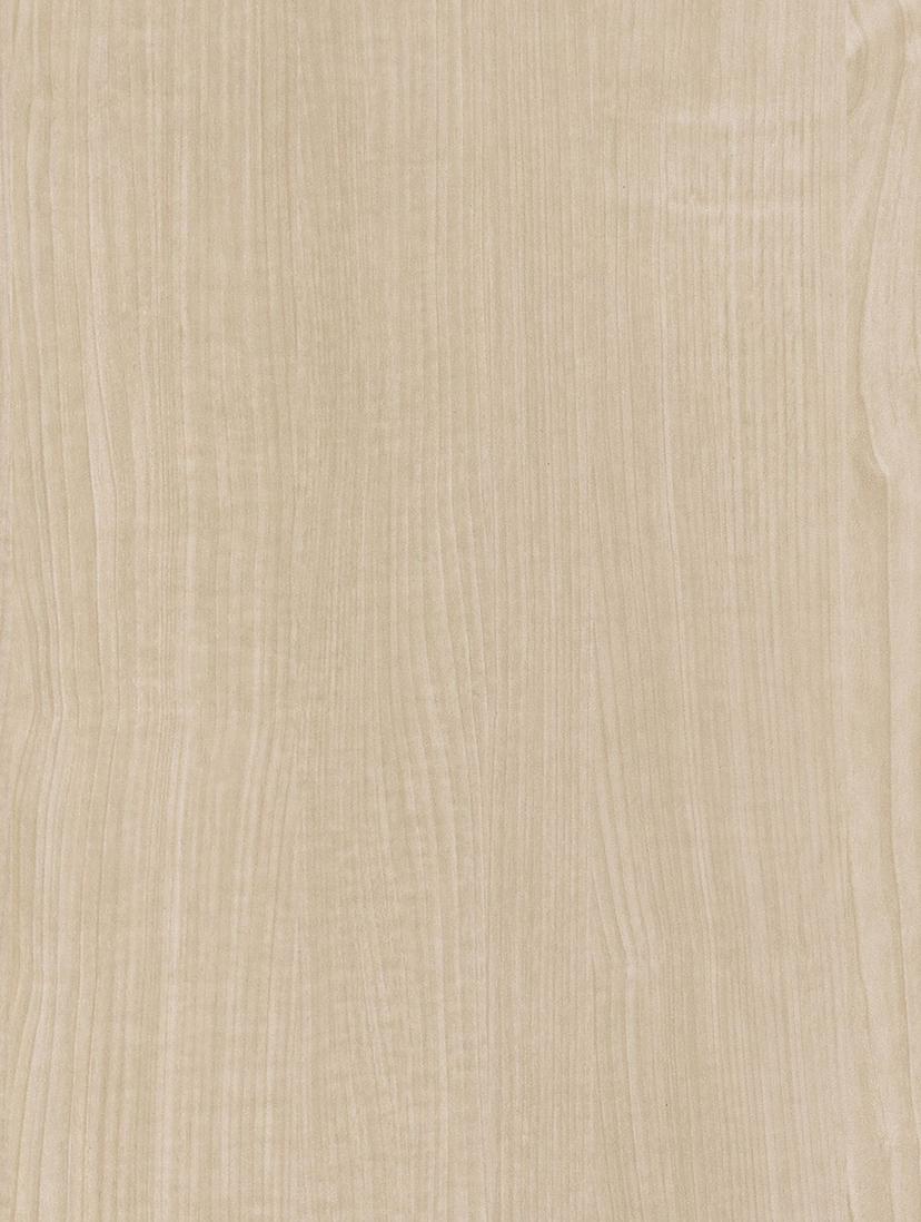 Pale Grey Maple