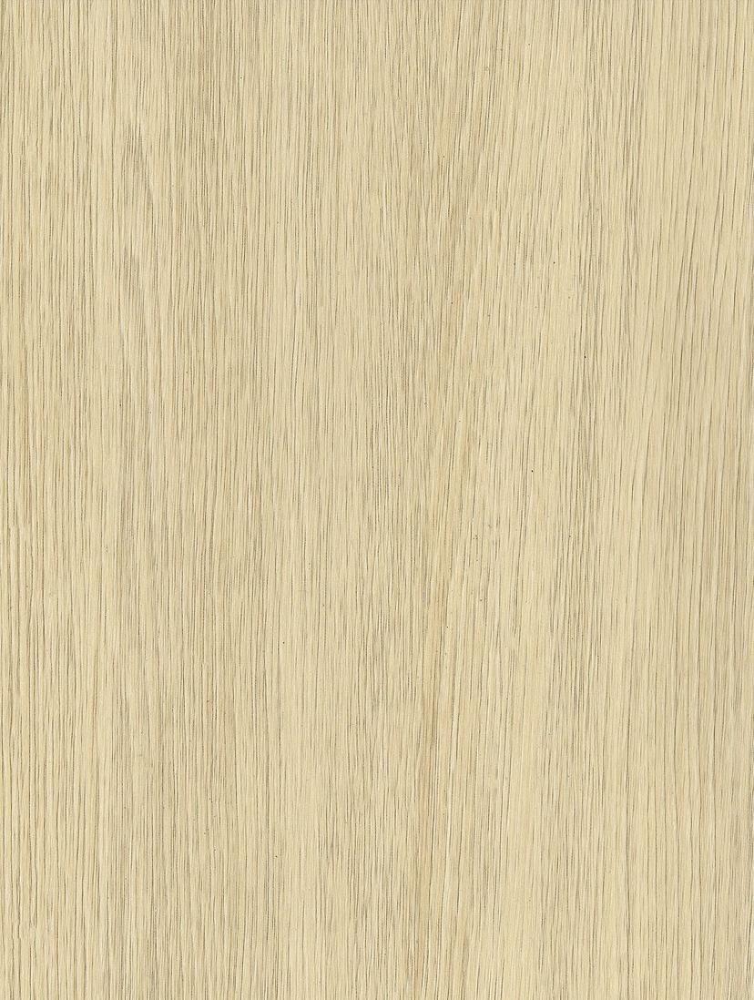 Ivory Oak