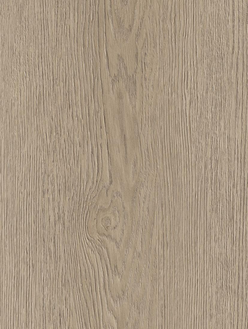 Dyed Oak