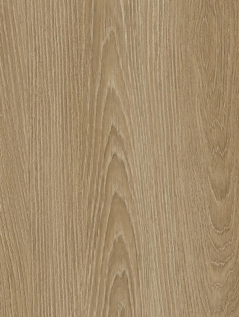 Golden Elm