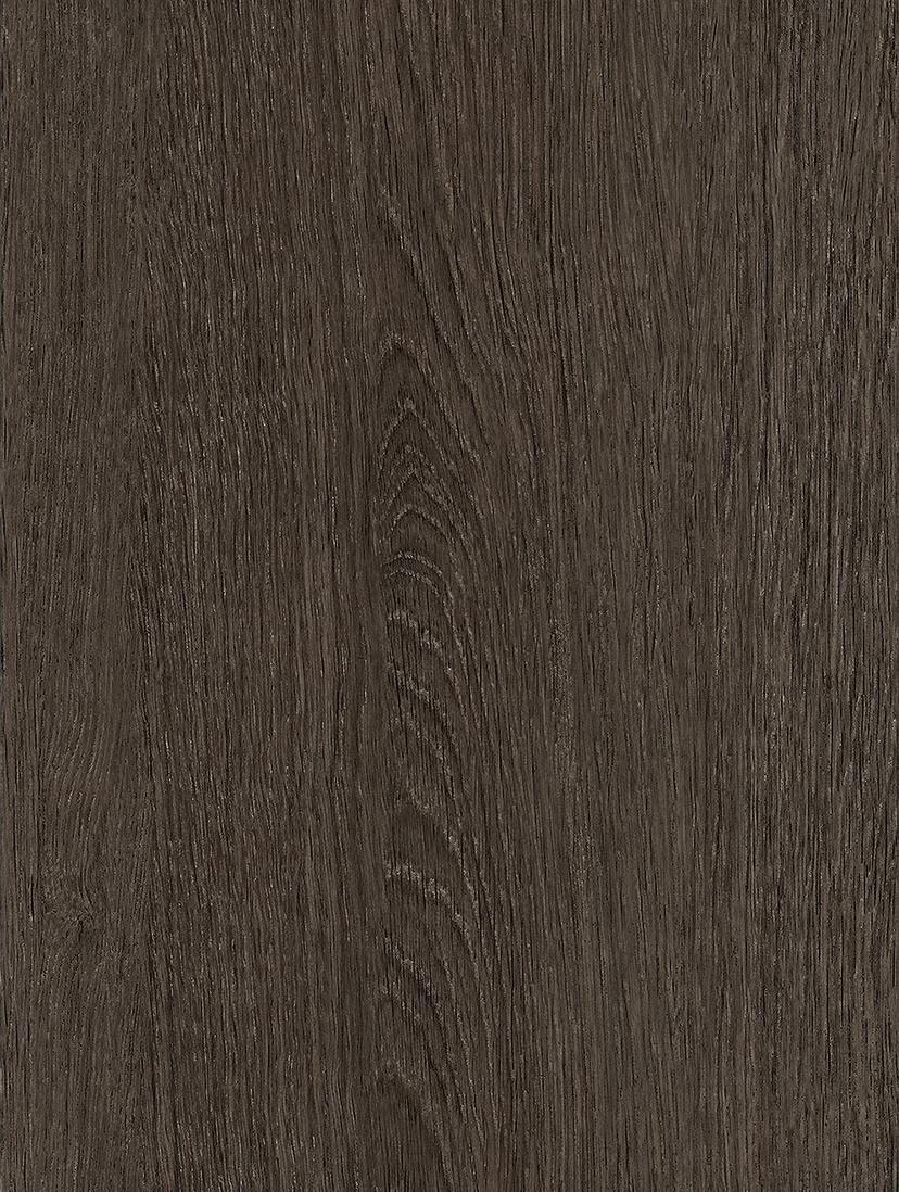 Tulip Dark