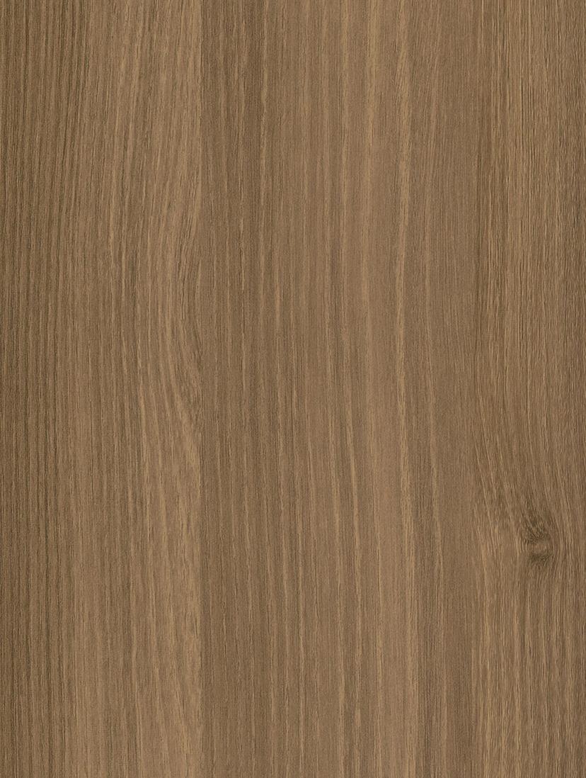 Brown Acacia