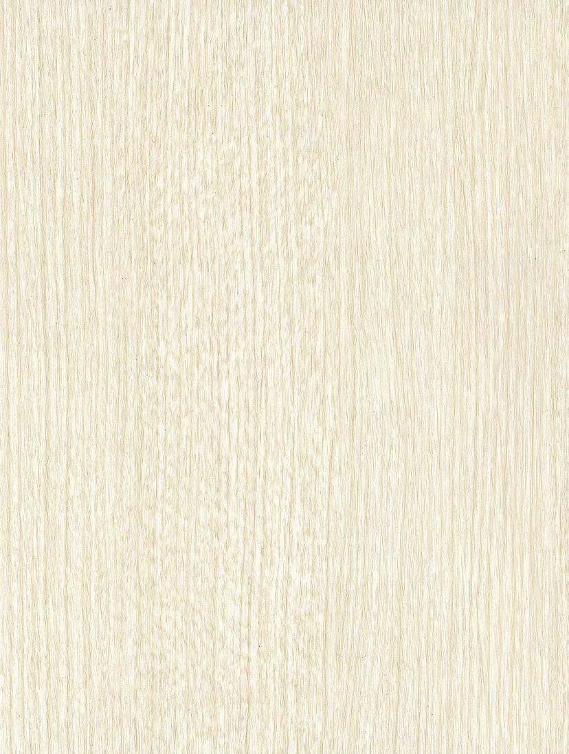 White Sycamore