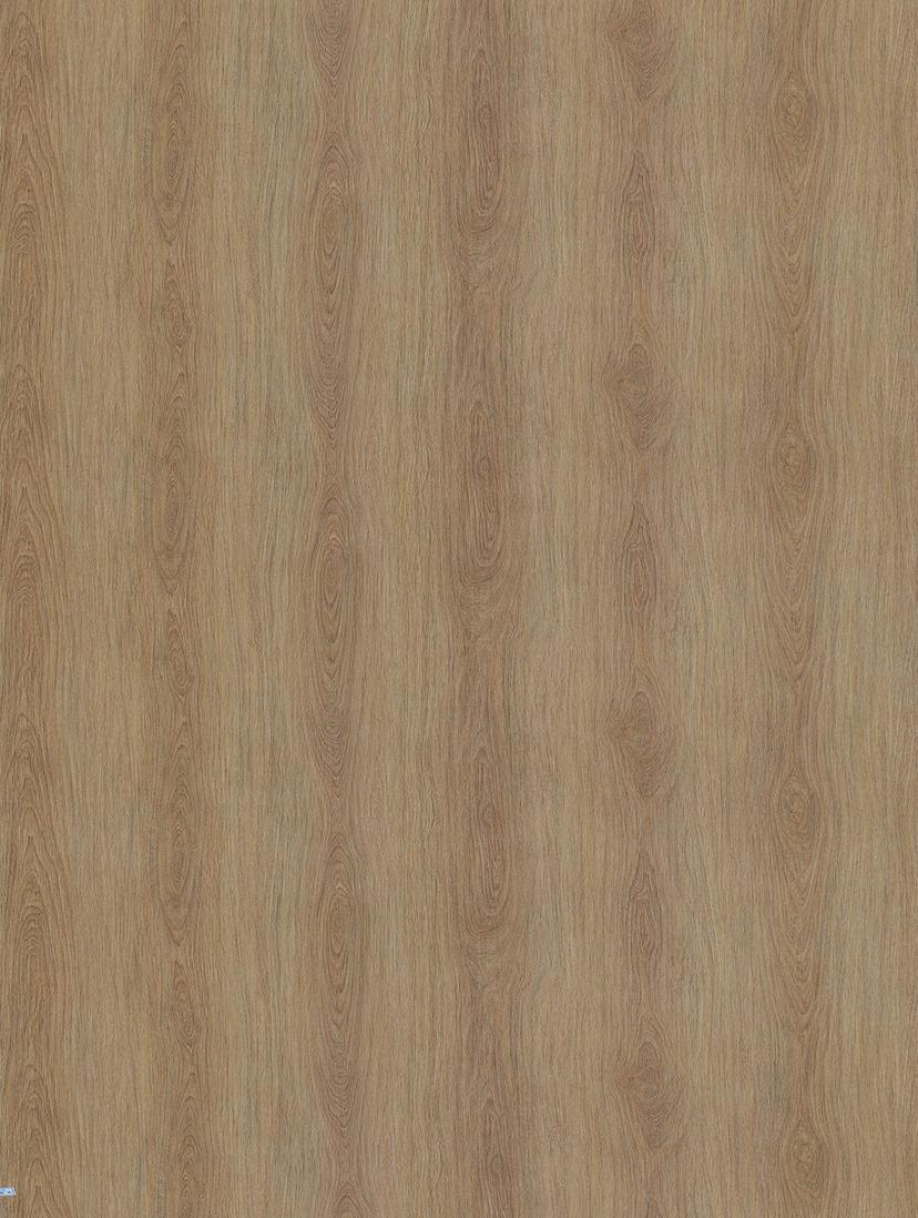 Hard Oak