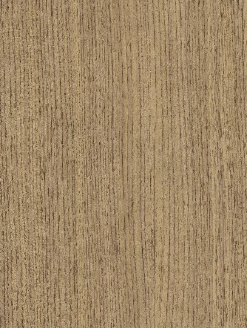 Timeless Walnut
