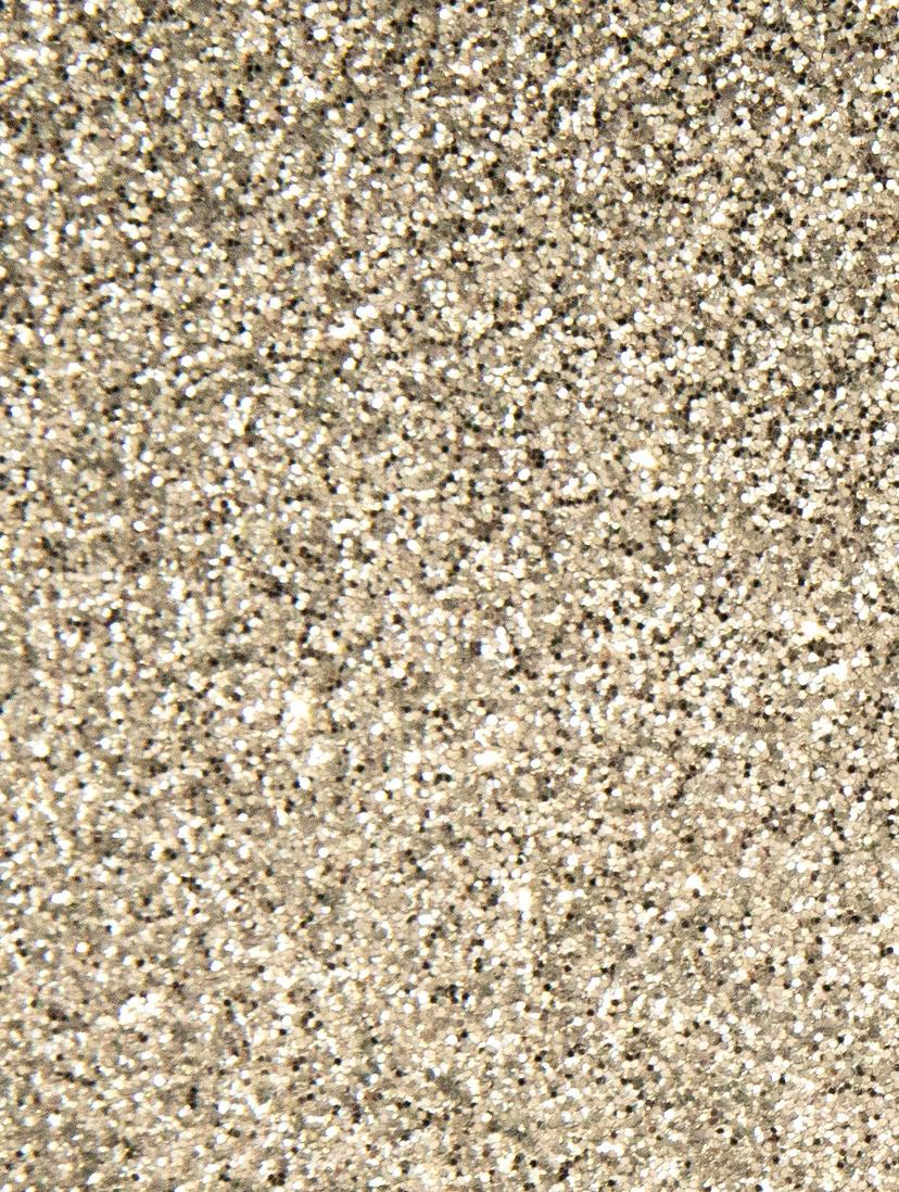 Silver Disco