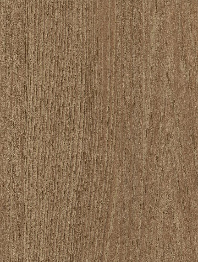 Bronzed Ash
