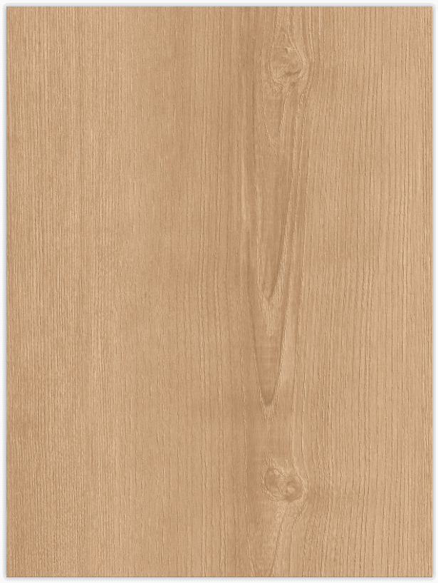 Sunlit Ash Wood