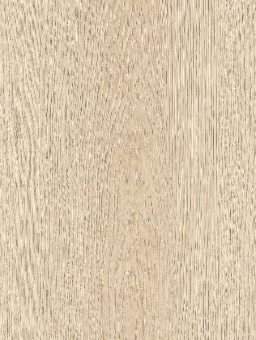 Sand Oak