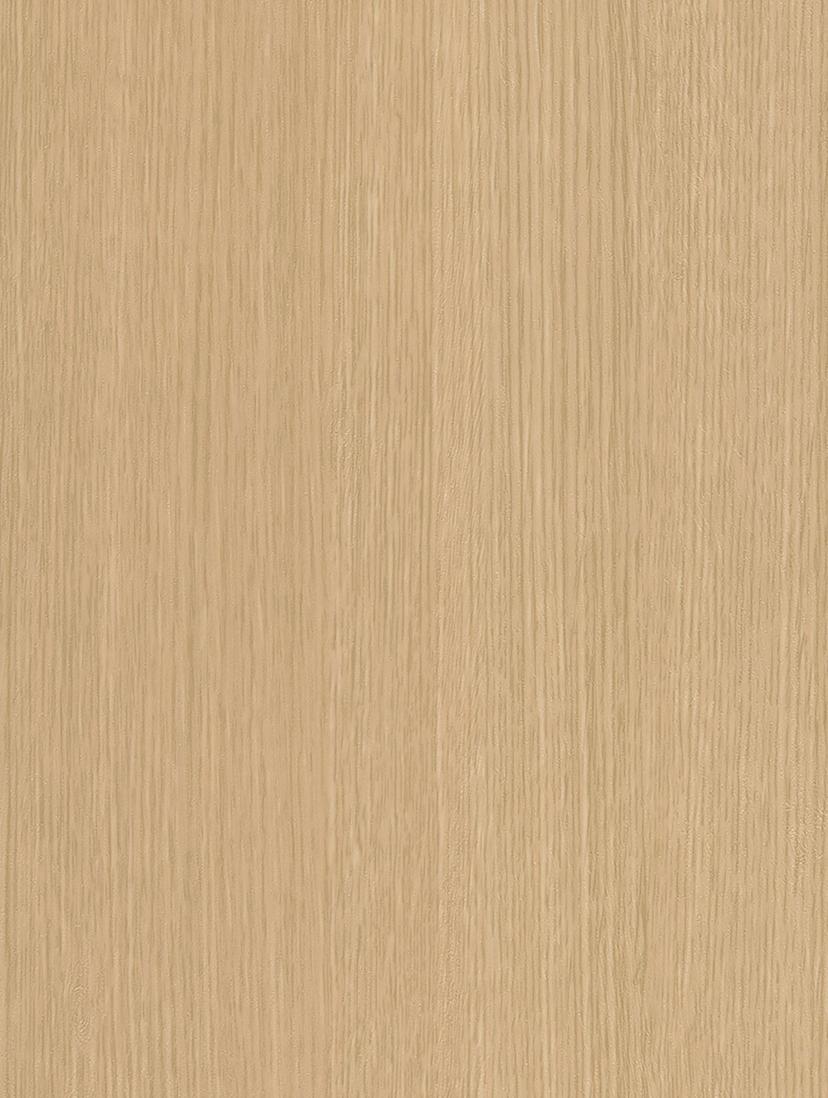 Beige Birch