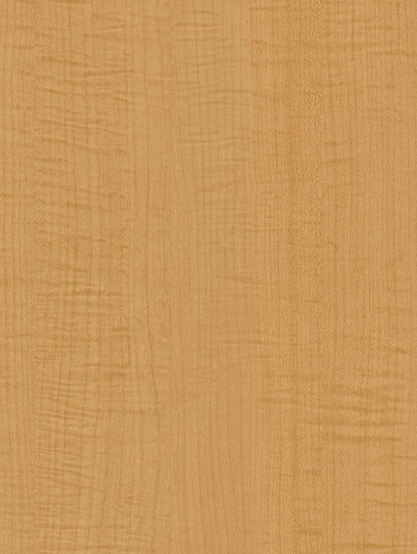 Yellow Sycamore