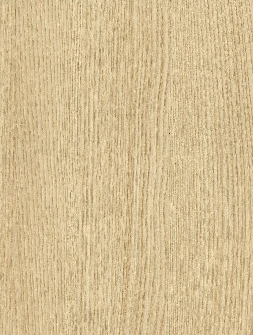 Blond Beech