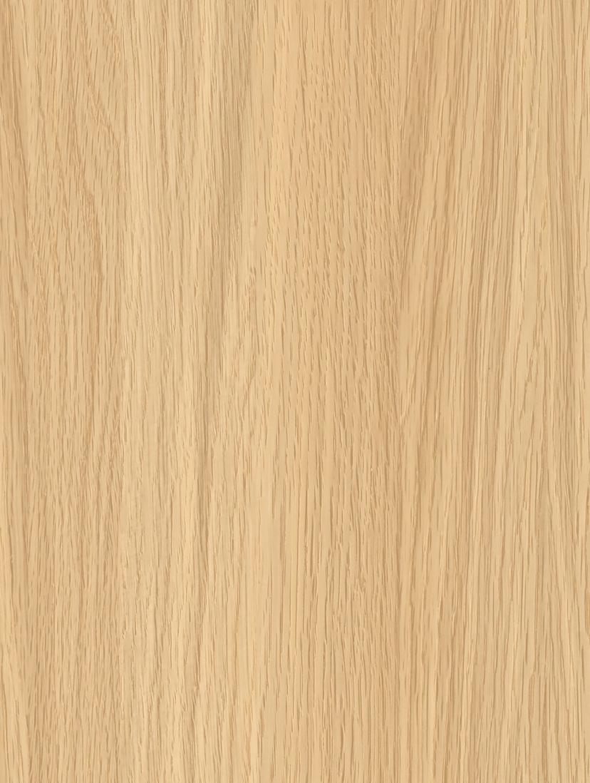 Beige Beech
