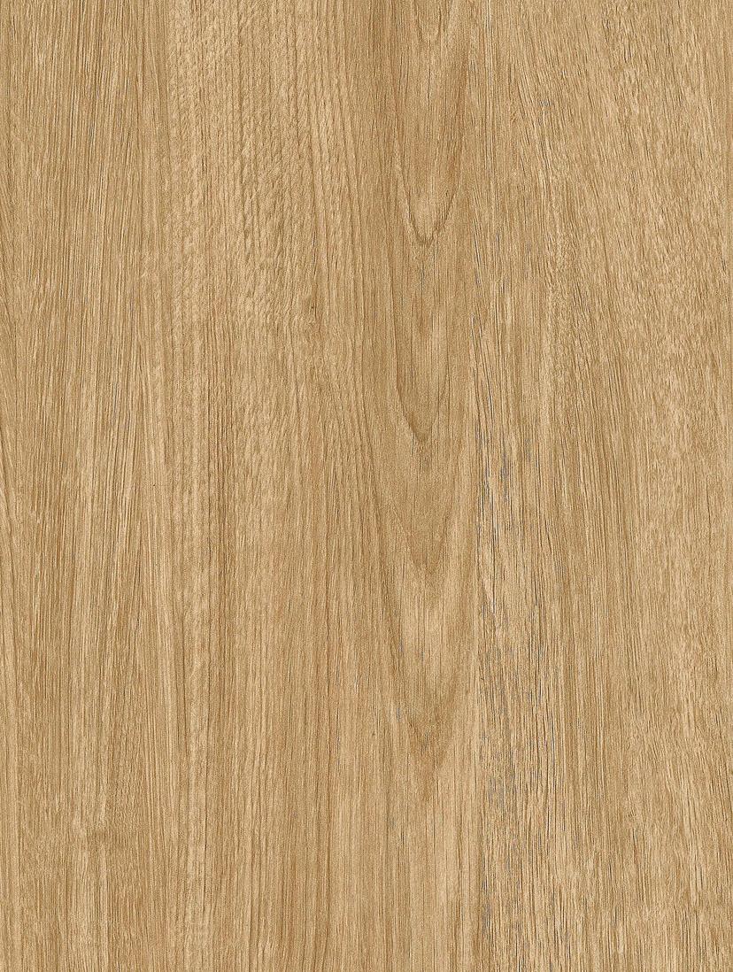 Cinnamon Oak