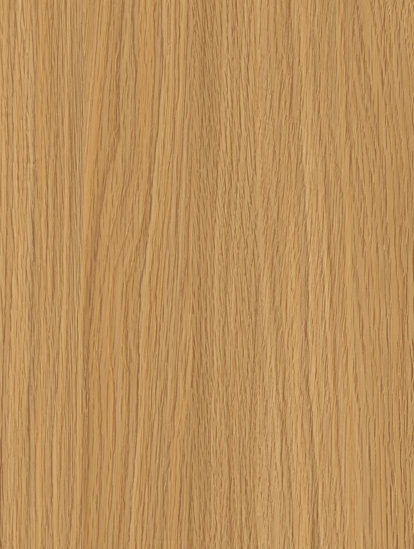 Honey Beech