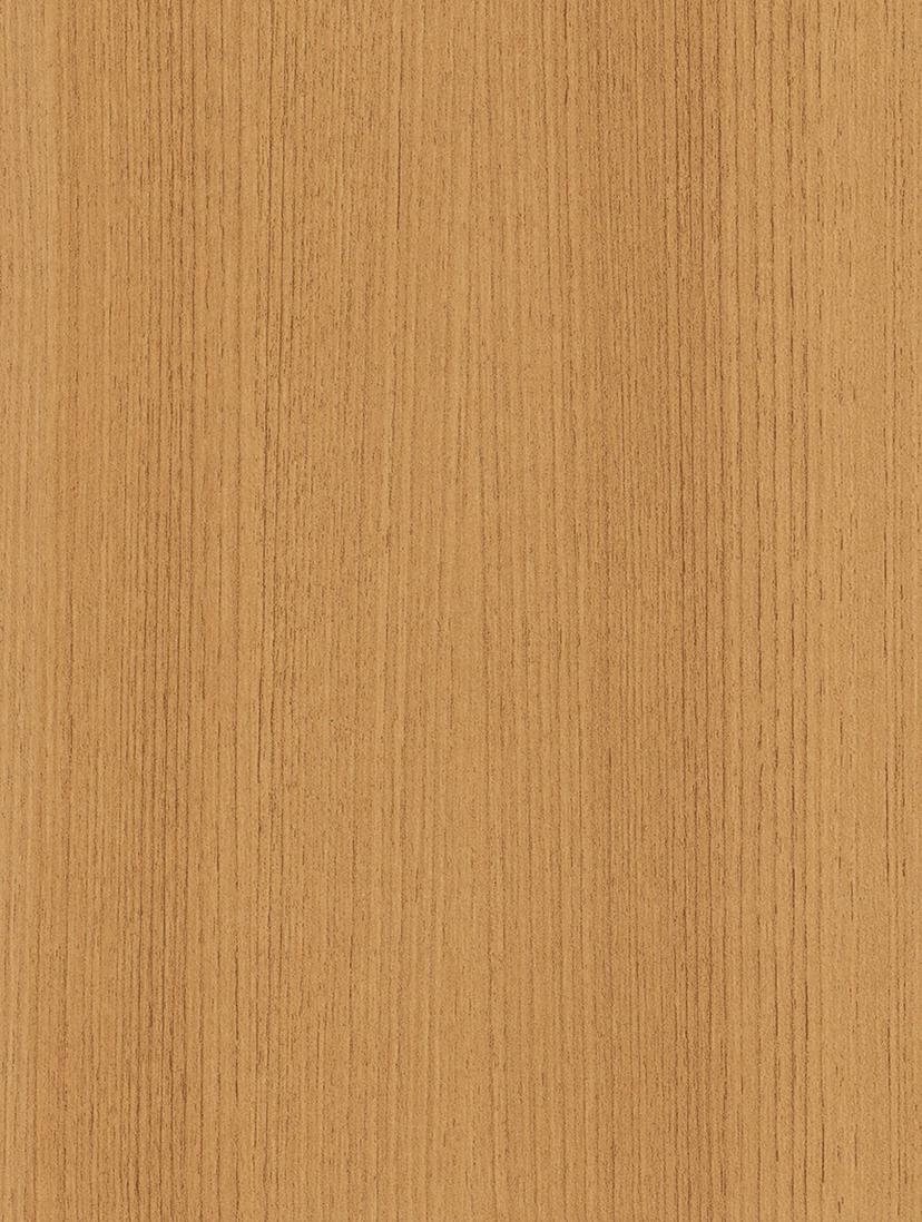 Golden Beech