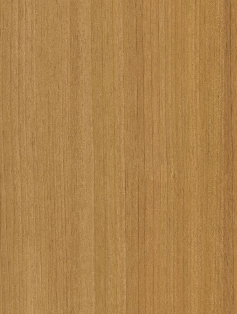 Honey Birch