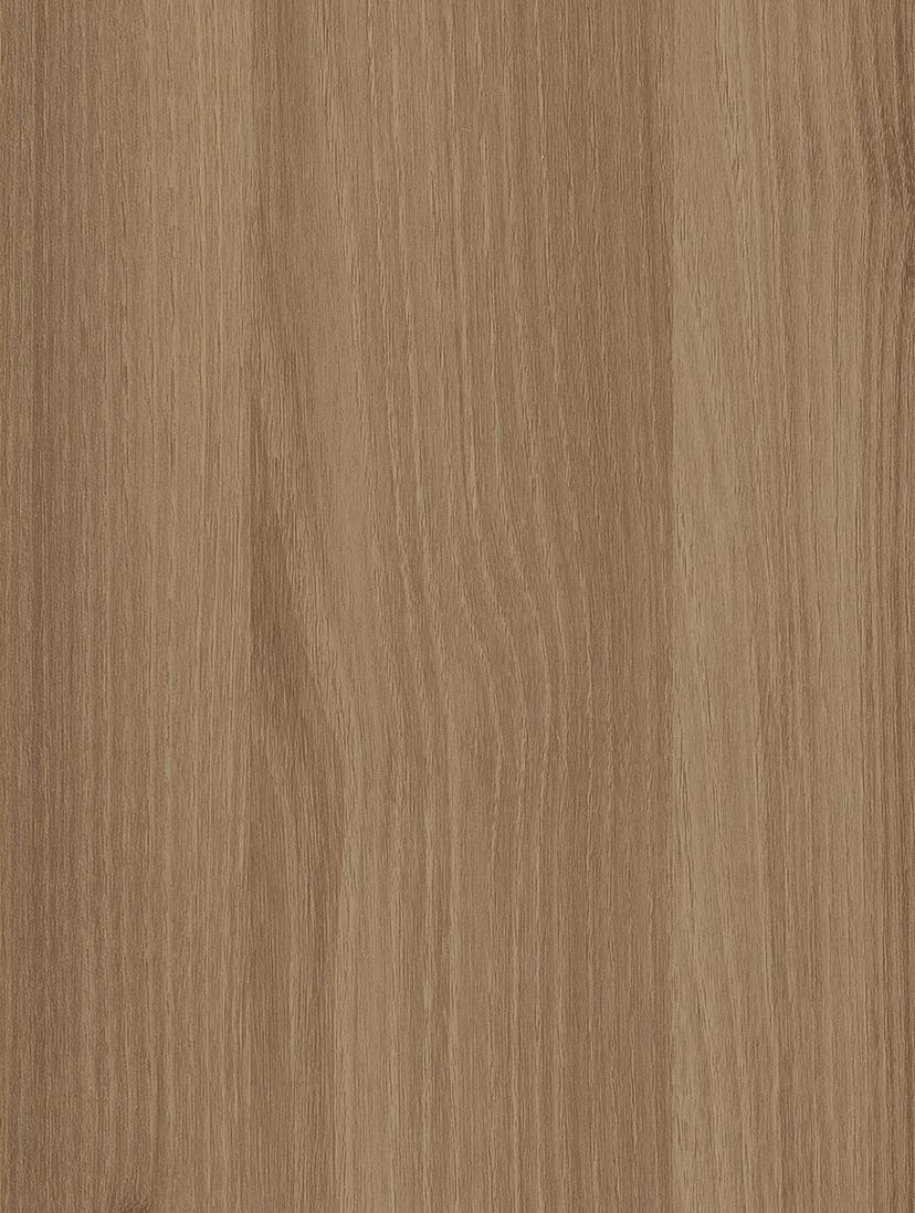 Pecan Acacia