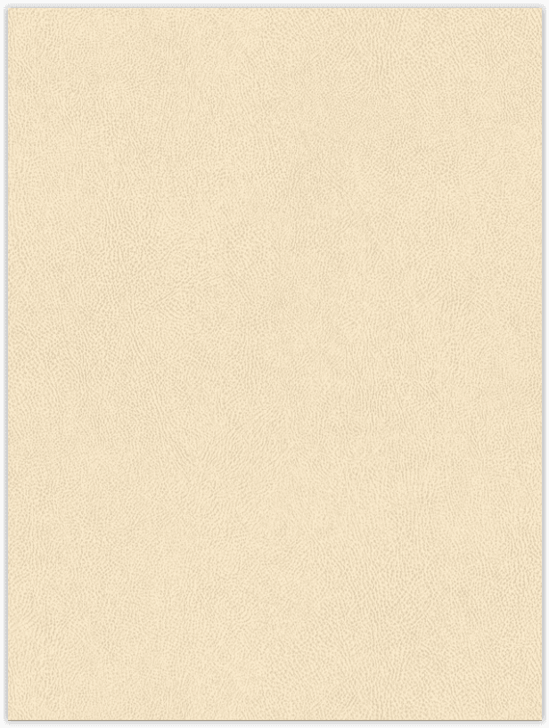 Ecru Leather