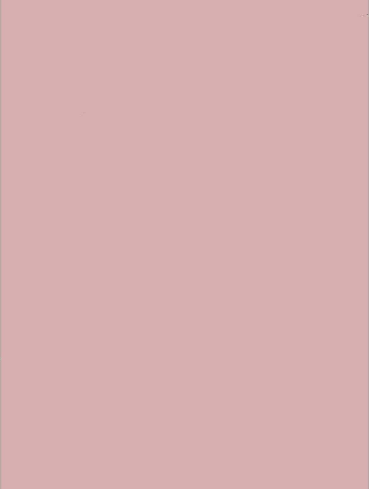 Blush Rose