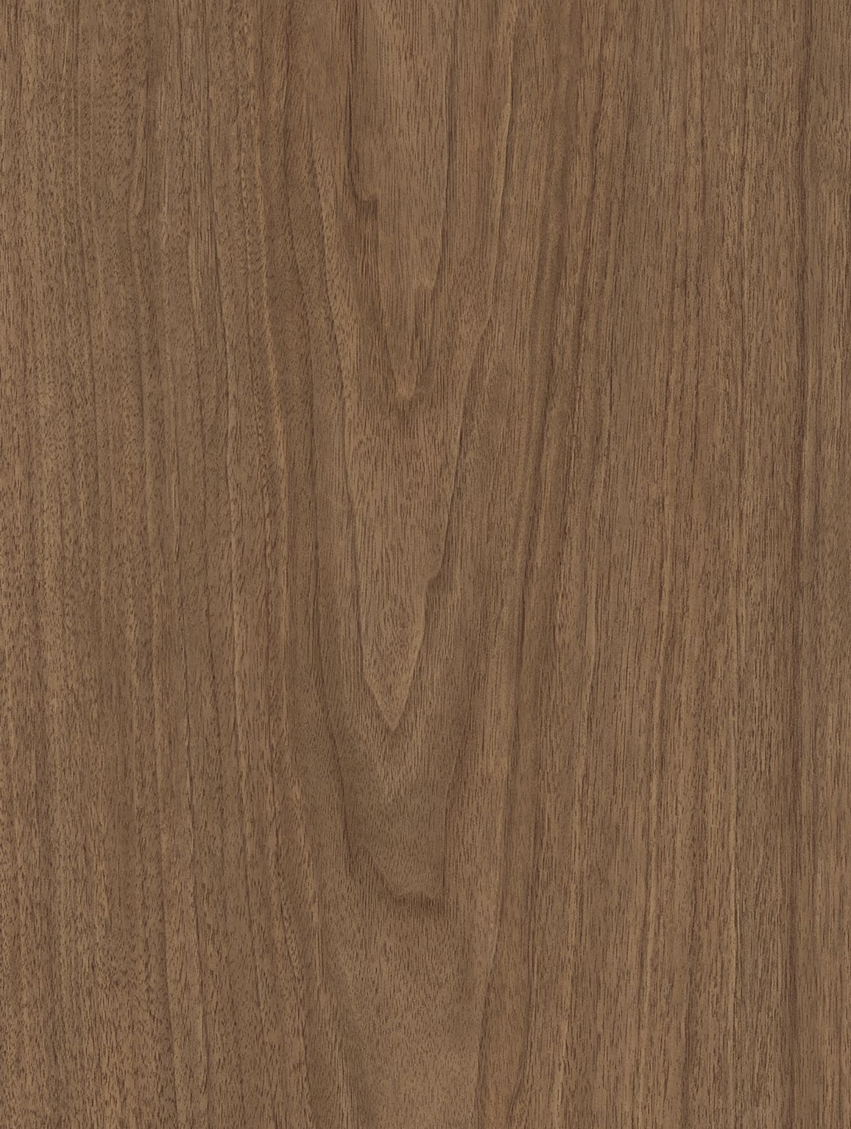 Brown Walnut