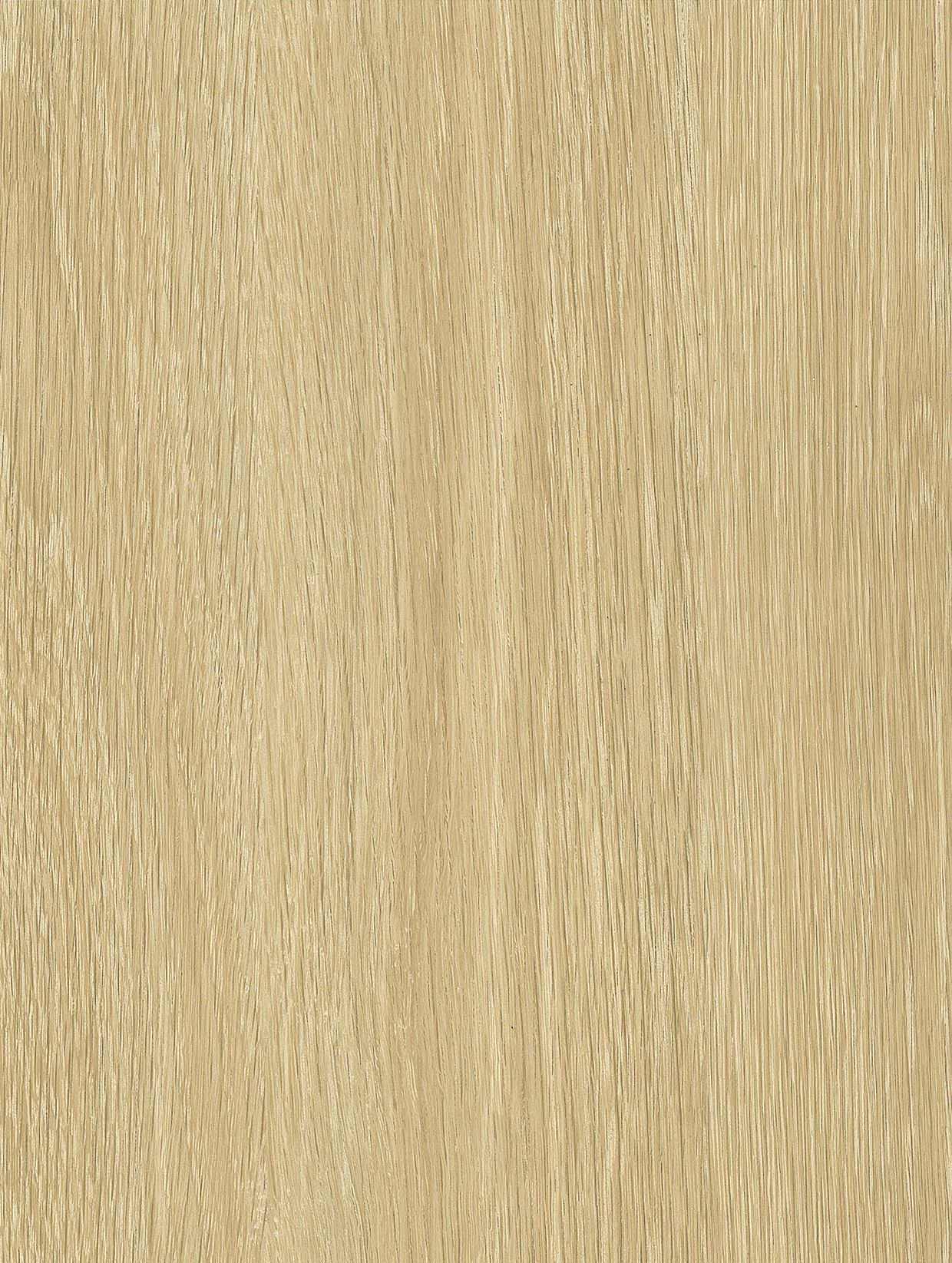 Fawn Oak