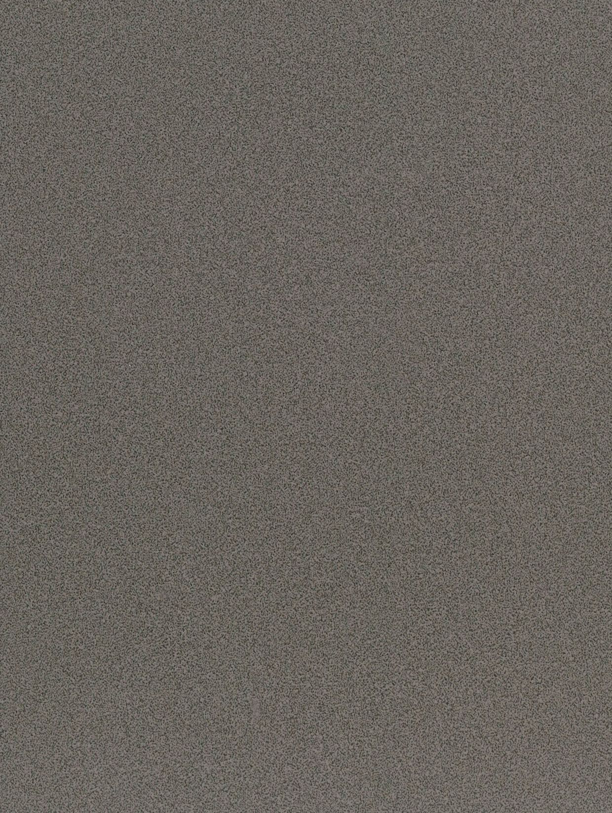 Grey Scoria