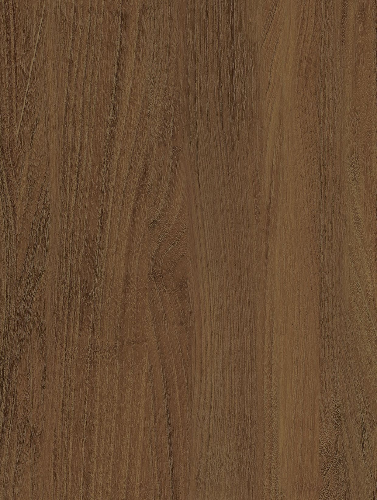 Brown Orangey Oak
