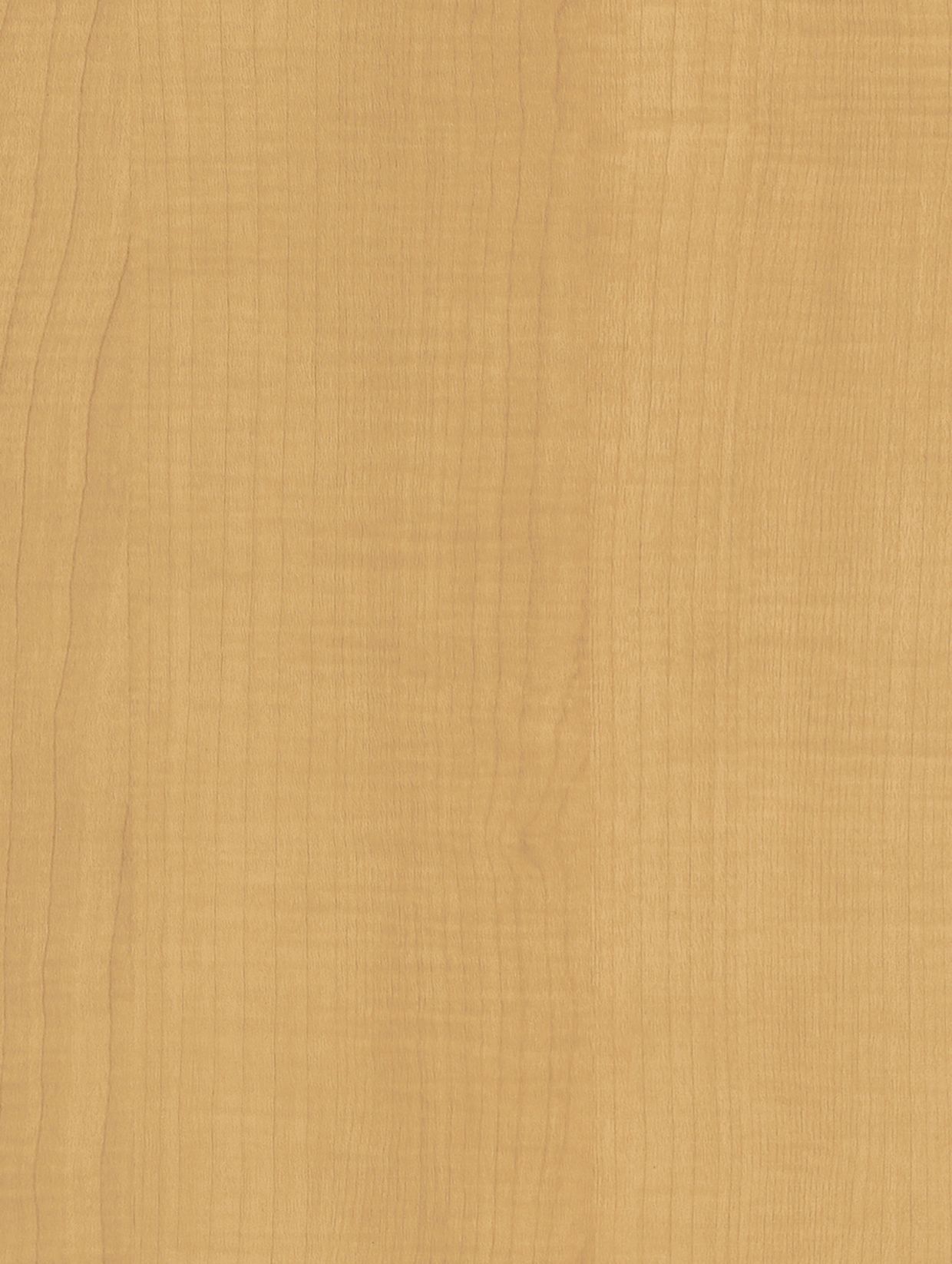 Beige Sycamore