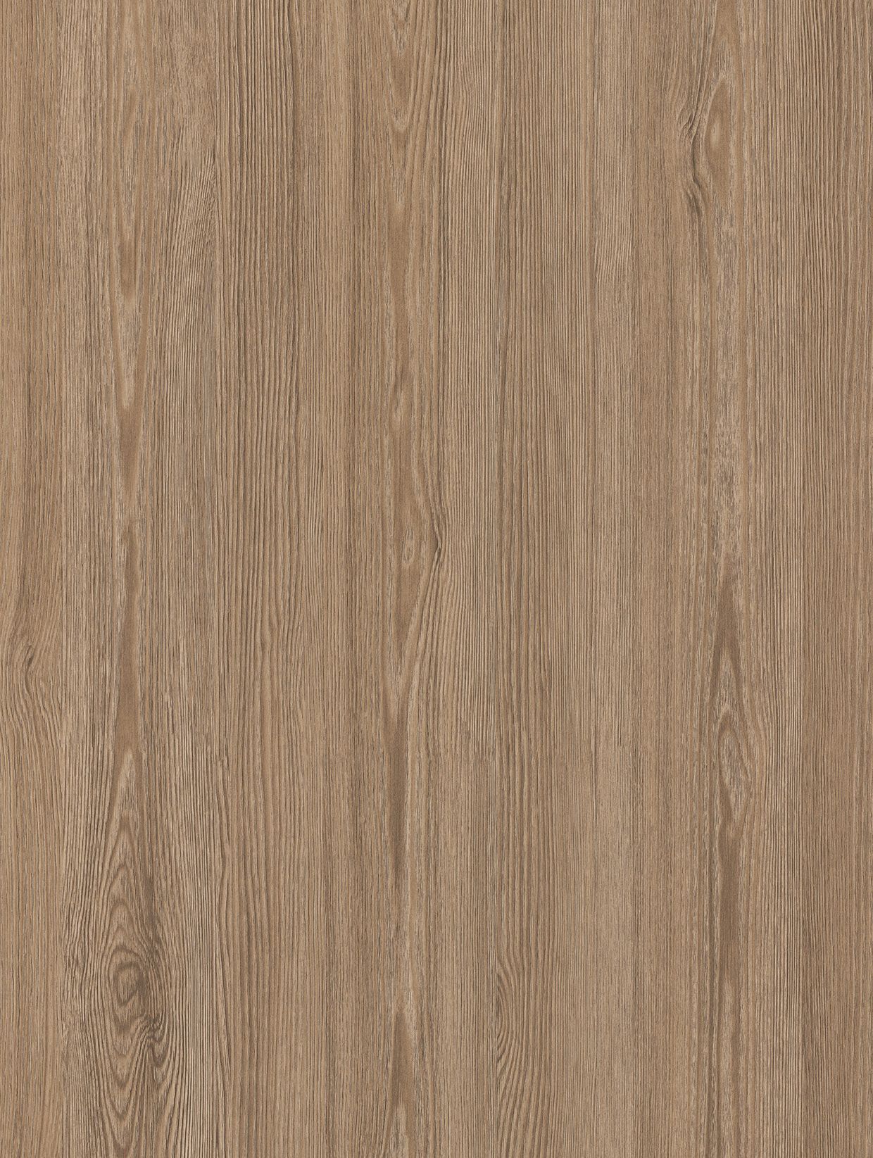 Aged Golden Pine