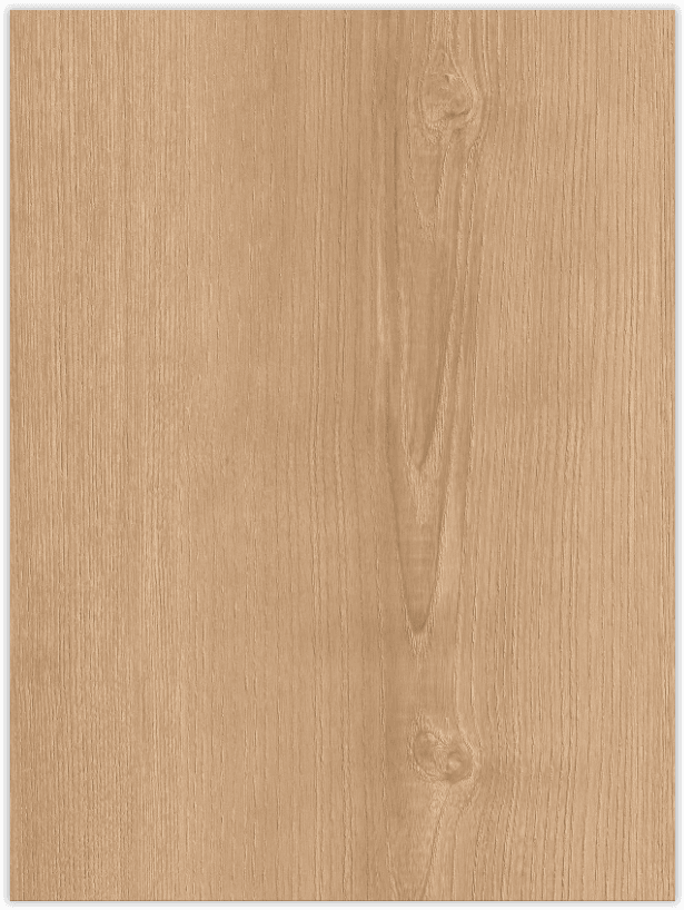 Sunlit Ash Wood
