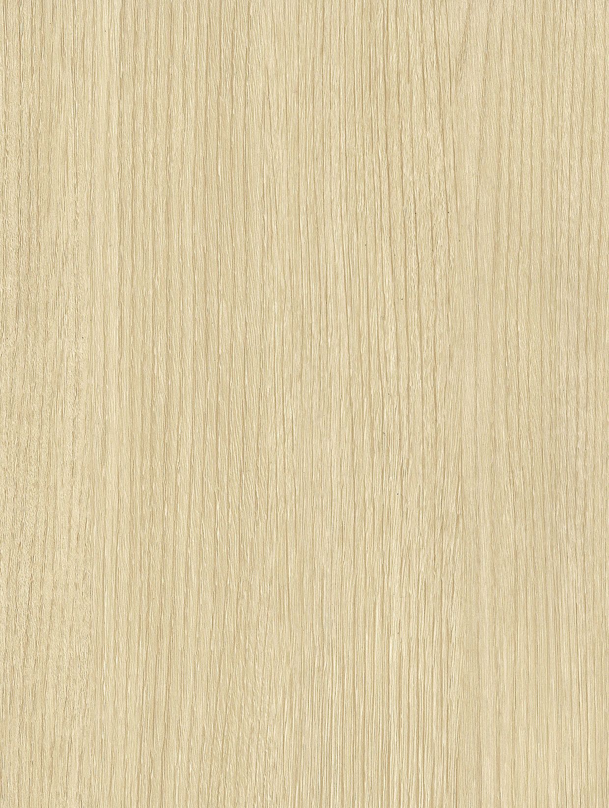 Butter Oak