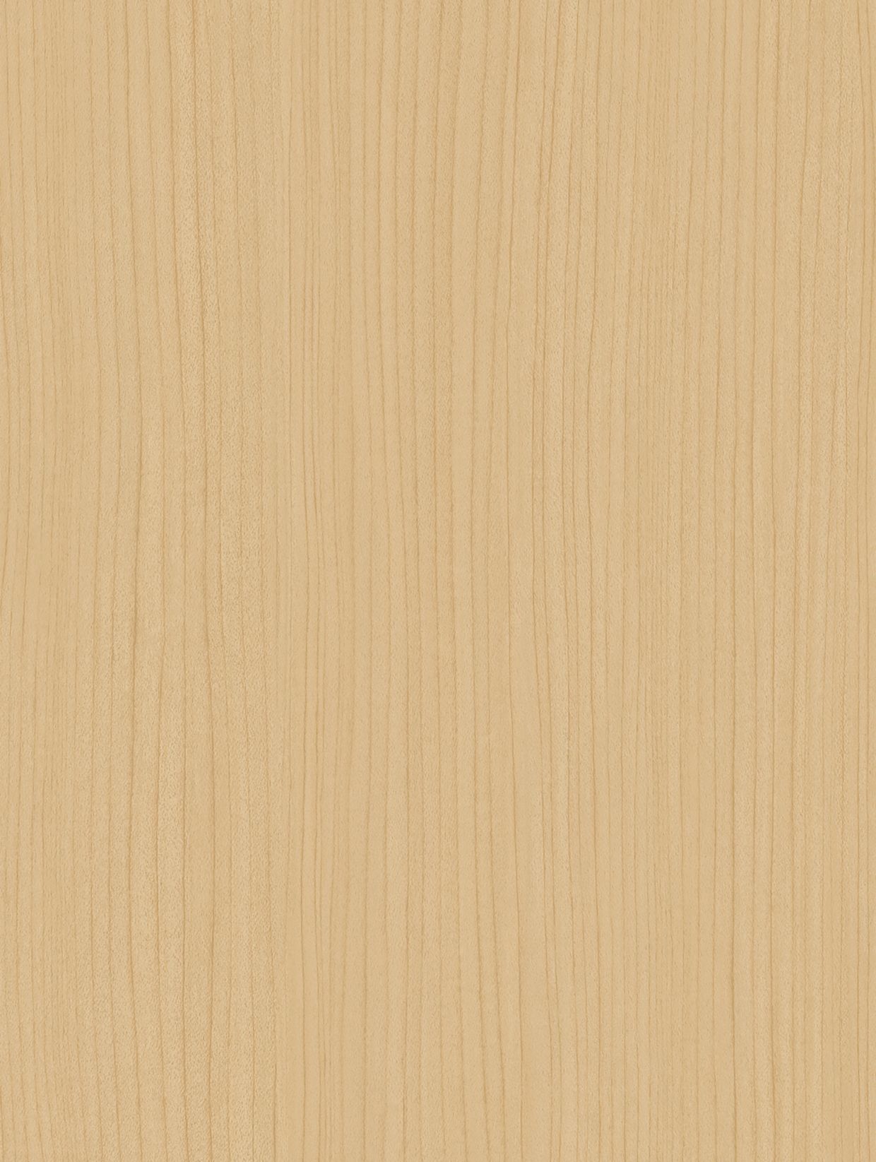 Beige Bao