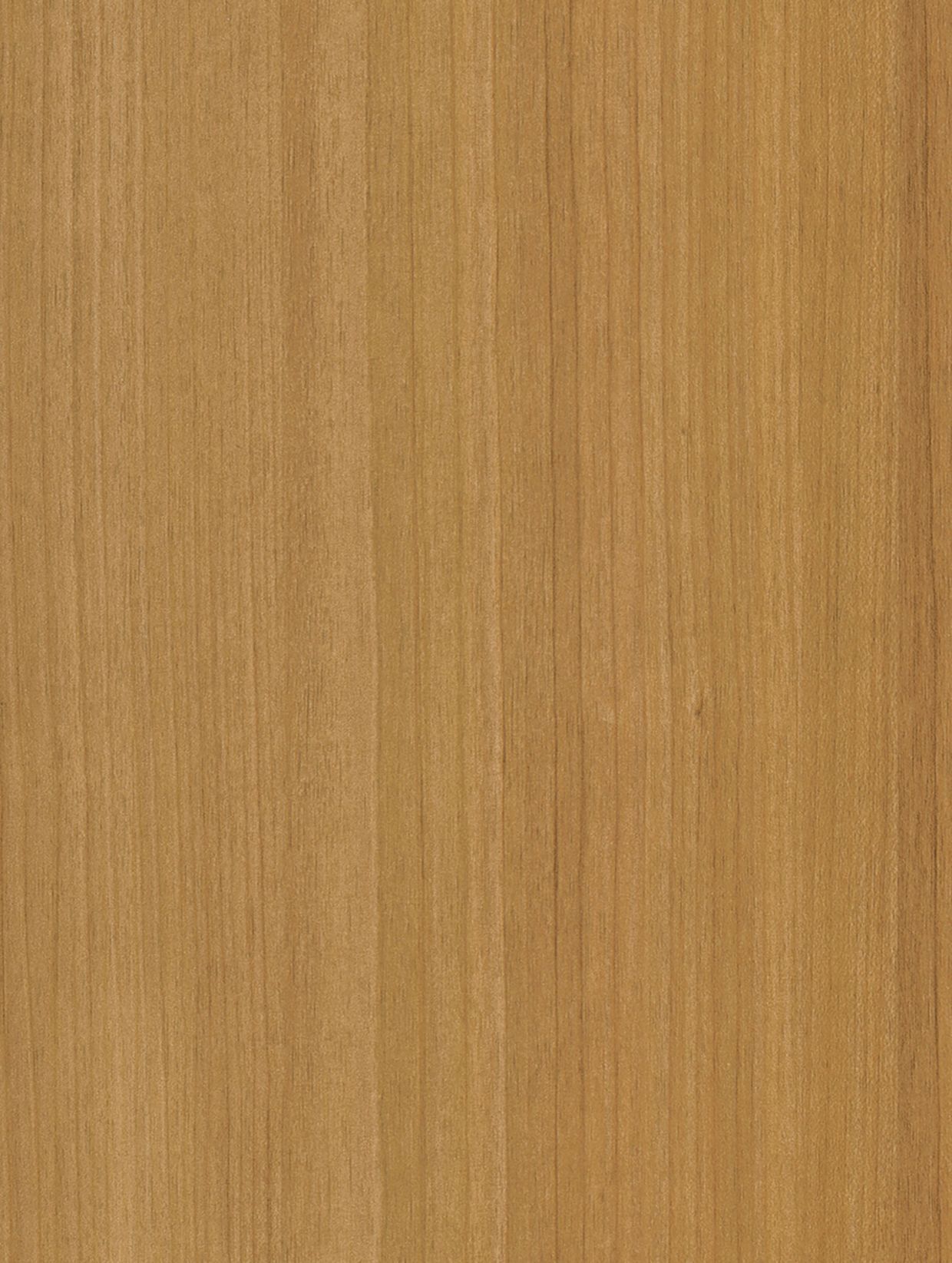 Honey Birch