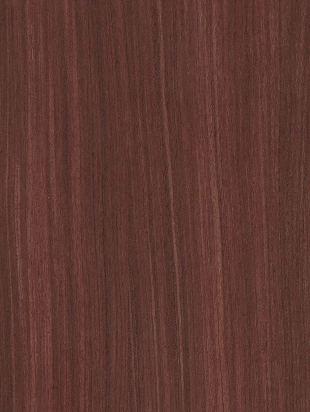 Bordeaux Birch