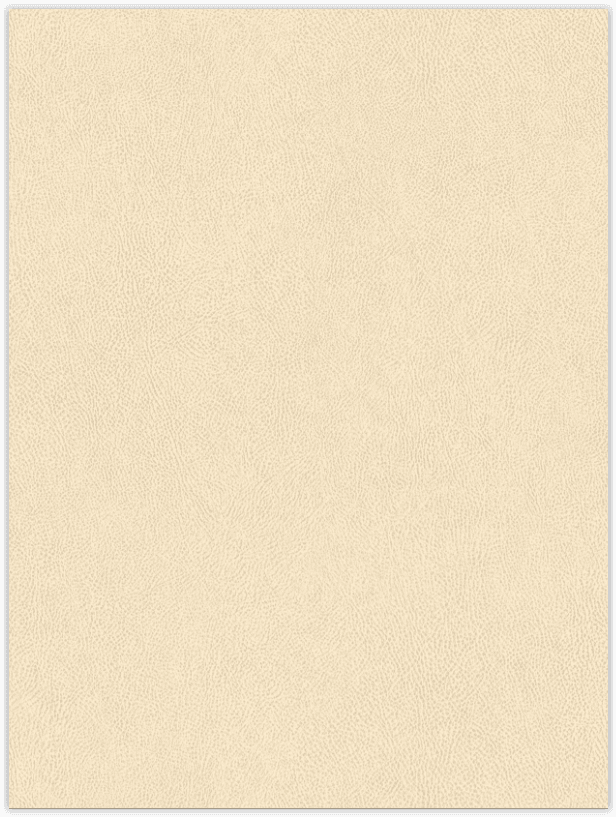 Ecru Leather
