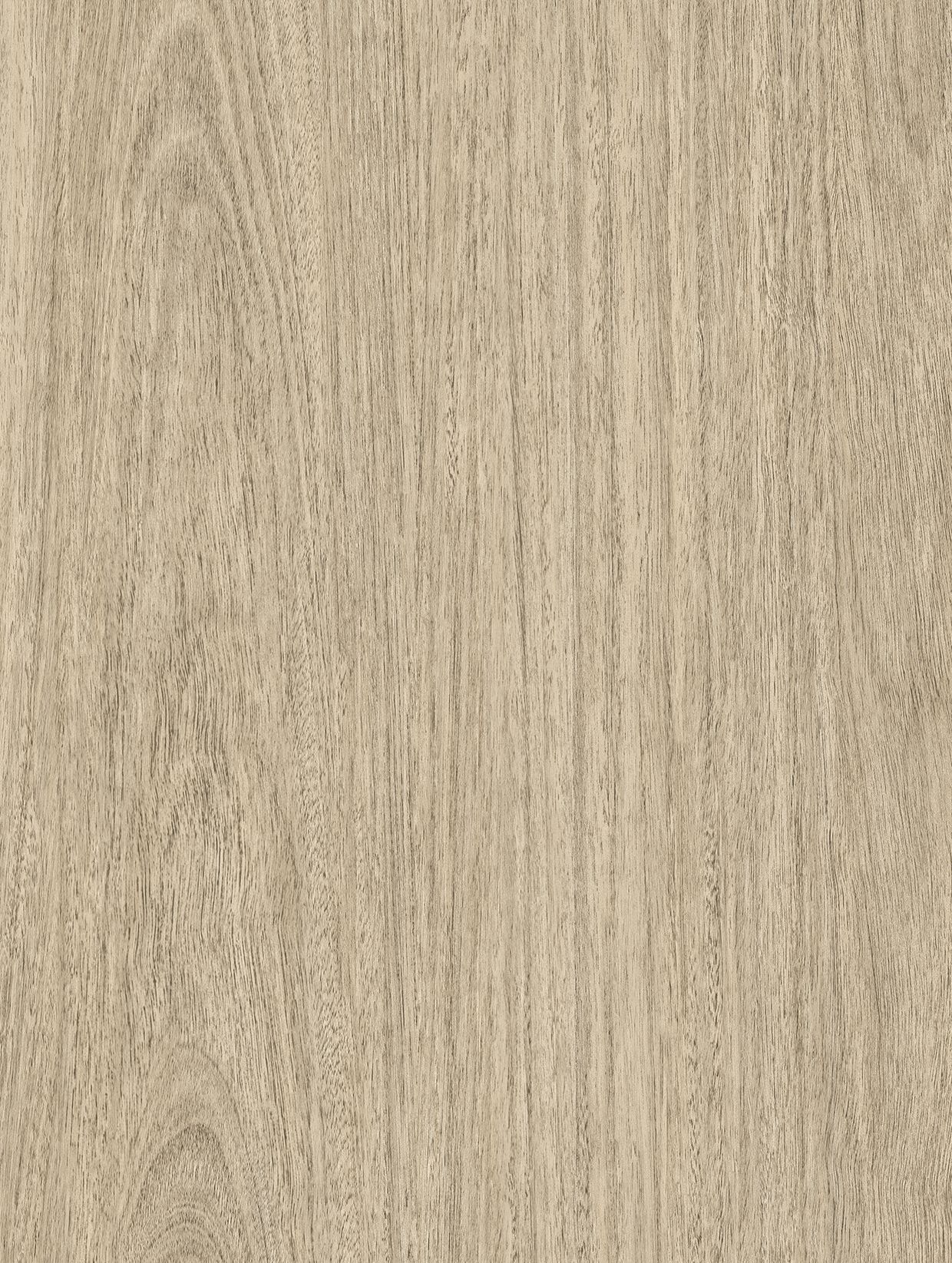 Eucalyptus