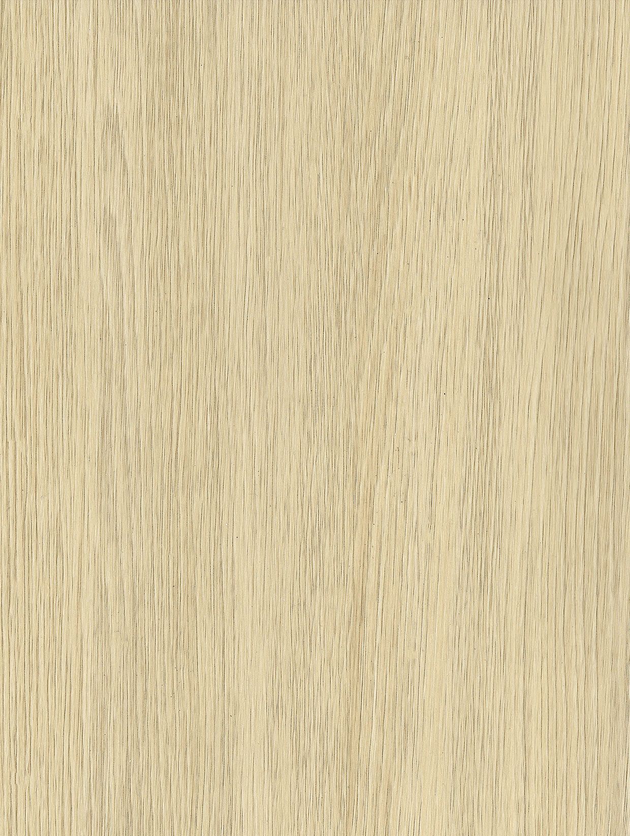 Ivory Oak
