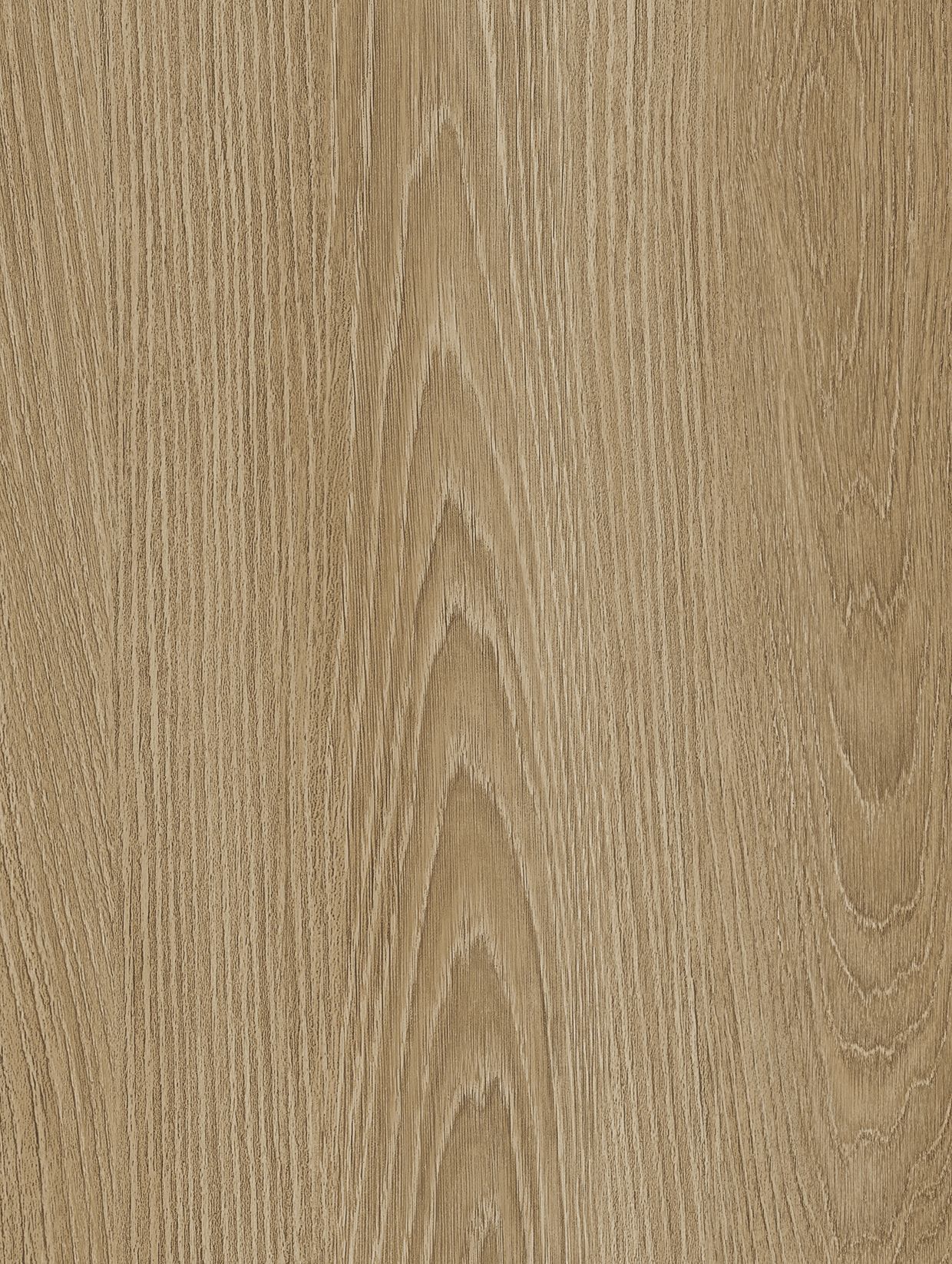 Golden Elm
