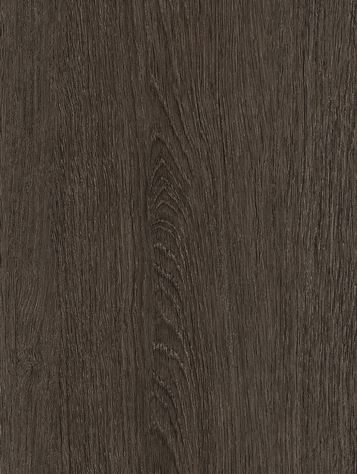 Tulip Dark