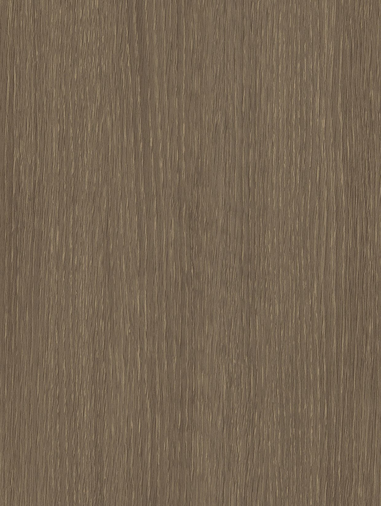 Cream Brown