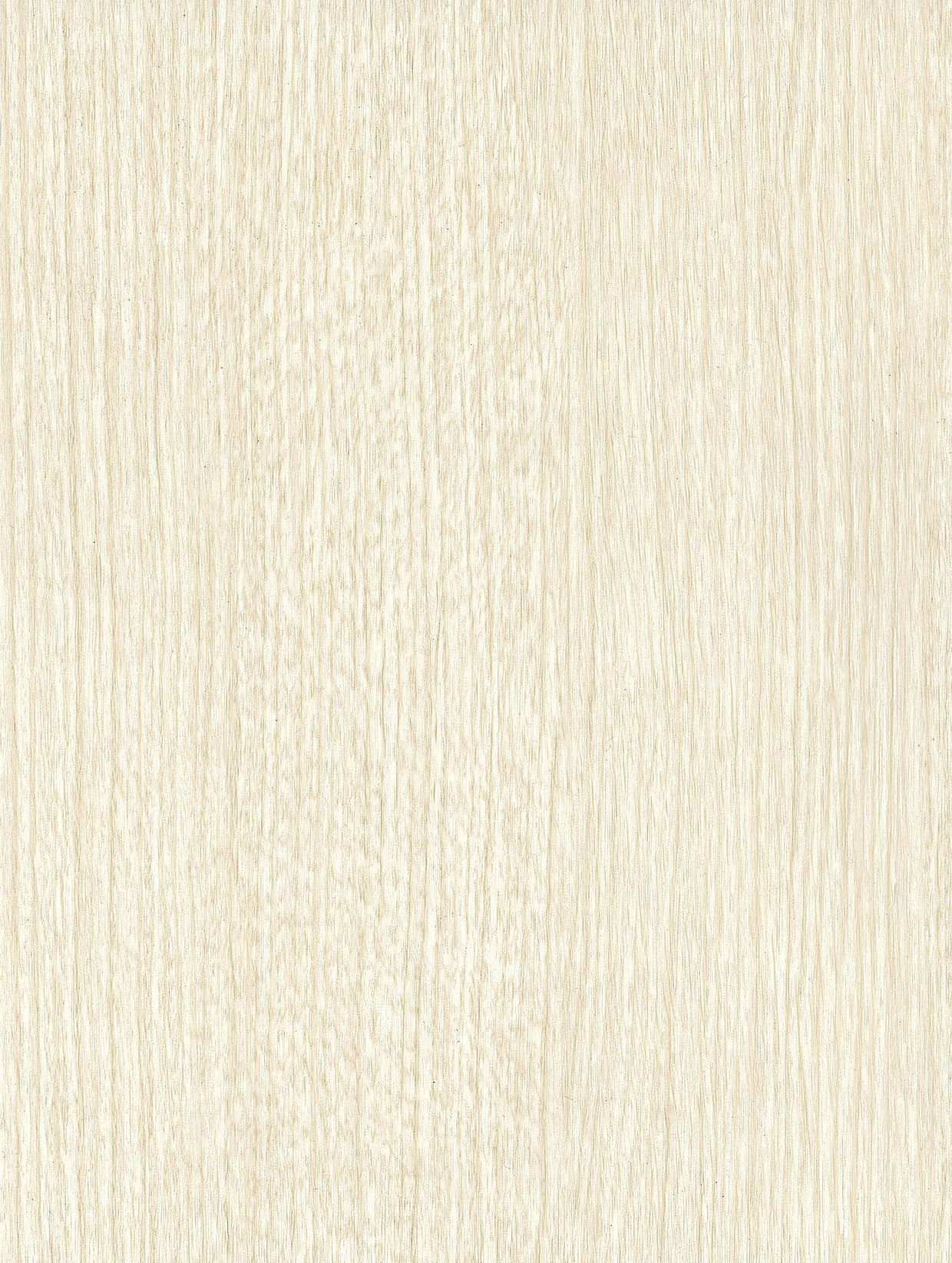 White Sycamore