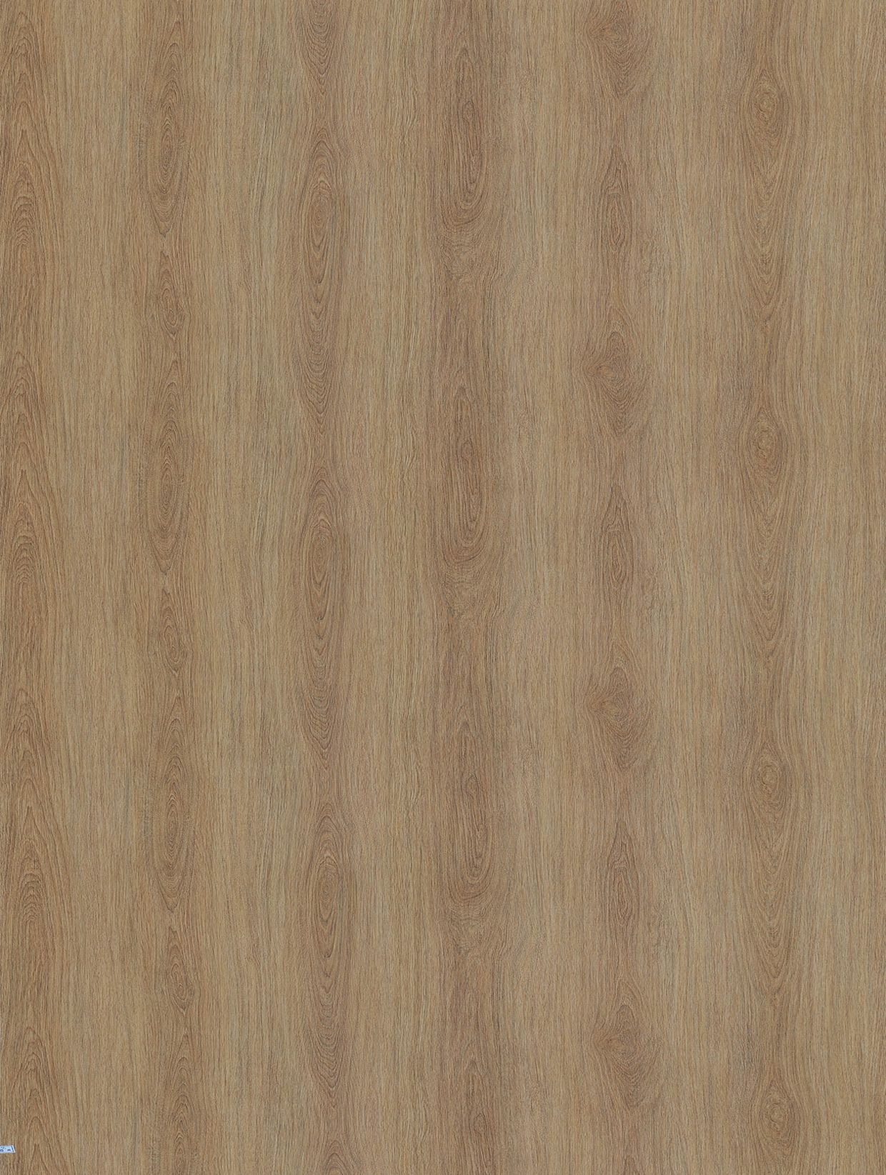Hard Oak