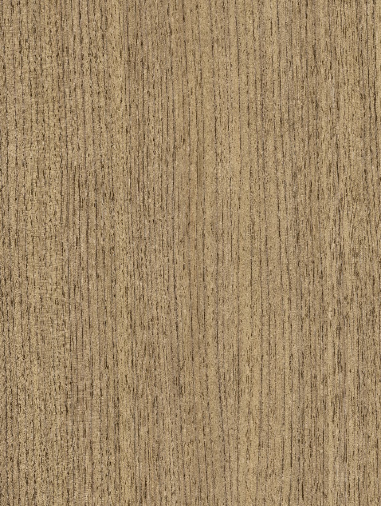 Timeless Walnut