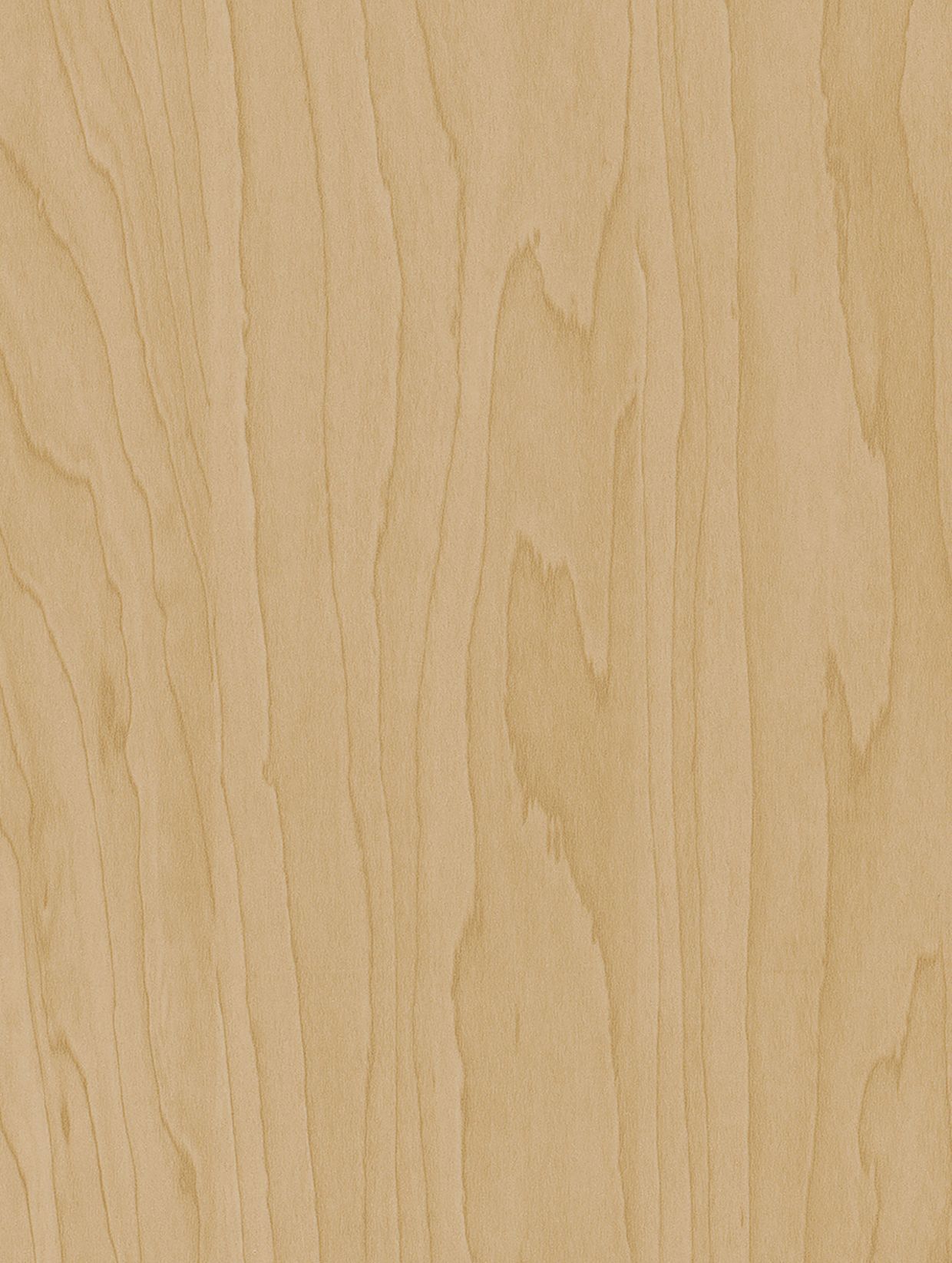 Gold Beige Birch