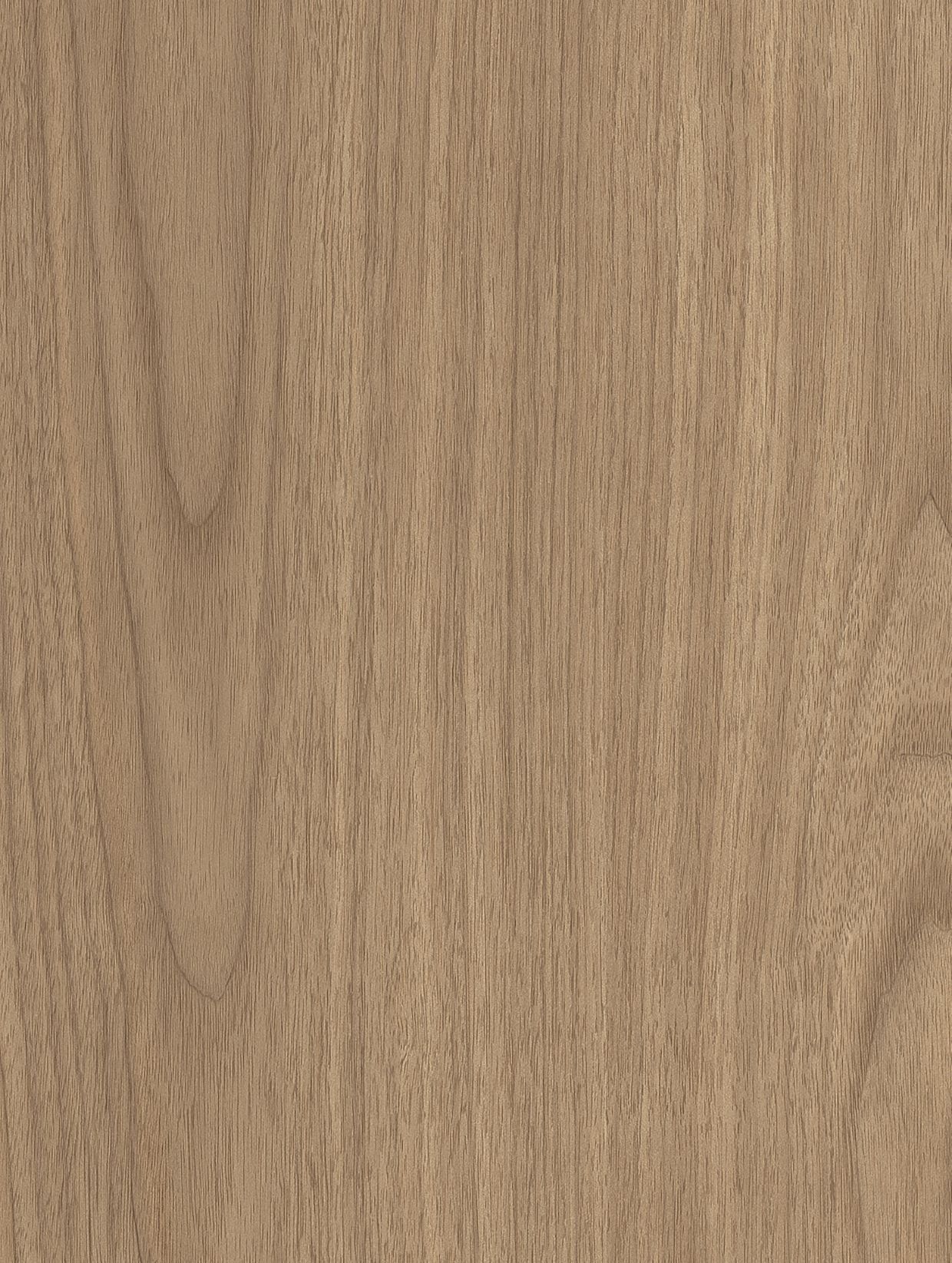 Walnut Oak